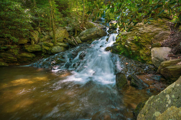 красивый водопад в горах блу-ридж. - blue ridge mountains stream forest waterfall стоковые фото и изображения