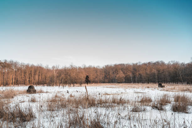 Small bunkers for Nazi German shooters in the winter forest near Blachownia, an industrial part of the city of Kędzierzyn-Koźle. During WWII, there were important factories of Nazi Germany.