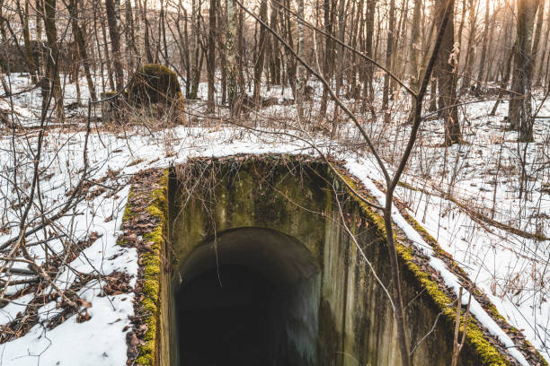 entrance to an abandoned air raid tunnel in the winter forest - air raid imagens e fotografias de stock