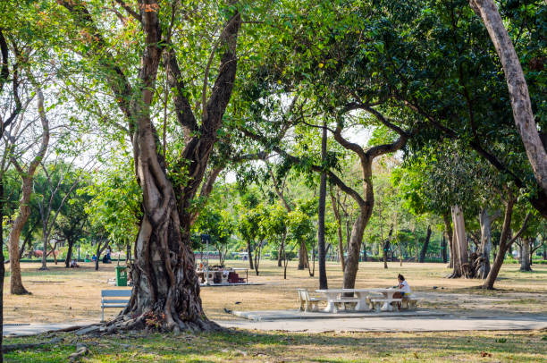 Bangkok, Thailand - 02.28.2016: Romaneenart park, public park in Bangkok located on the former site of Klong Prem Prison