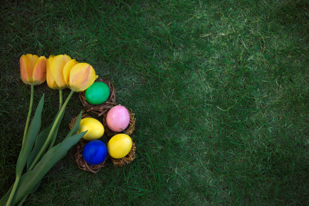 istock Easter, holidays and tradition concept. Colorful Easter eggs painted in pastel colors and blossom yellow tulip on grass background. 1304064296