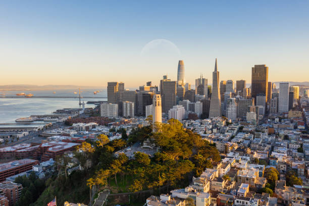 Aerial View of Coit Tower and Financial District Aerial view of Coit Tower and the San Francisco financial district in the background. Bay Bridge and several landmarks fill the background. san francisco bay stock pictures, royalty-free photos & images