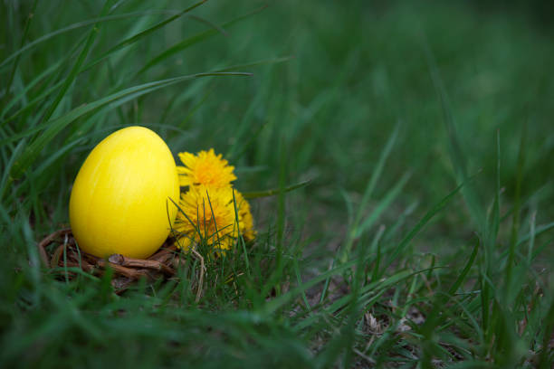 Easter, holidays and tradition concept. Colorful Easter eggs painted in pastel colors on grass background.