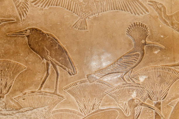 Ancient egyptian hieroglyphs carved on the stone wall