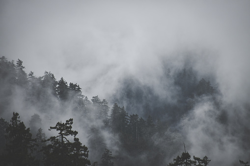 Early morning winter landscape at a fjord (Nordasvannet) near the City of Bergen on the west coast of Norway. The seawater of the fjord is partly frozen and hidden by fog or mist. The image was captured on an overcast and cloudy day.