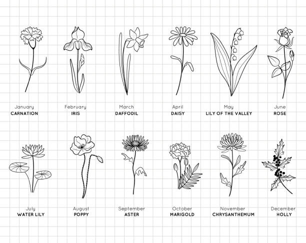 ilustrações, clipart, desenhos animados e ícones de mês de nascimento flores pacote de design simples. decoração mínima de primavera de verão. ilustração plana do vetor da silhueta. cortando arquivo. adequado para cortar software. cricut - new life illustrations