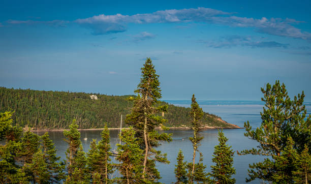 istock Rocks with forest goes to a huge river in Quebec, Canada, with trees in the foreground at golden hour during the summer 1304068475