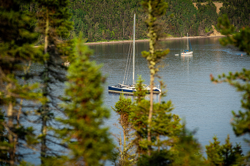 Nice boat at anchor in a bay at golden hour in summer with trees in the foreground