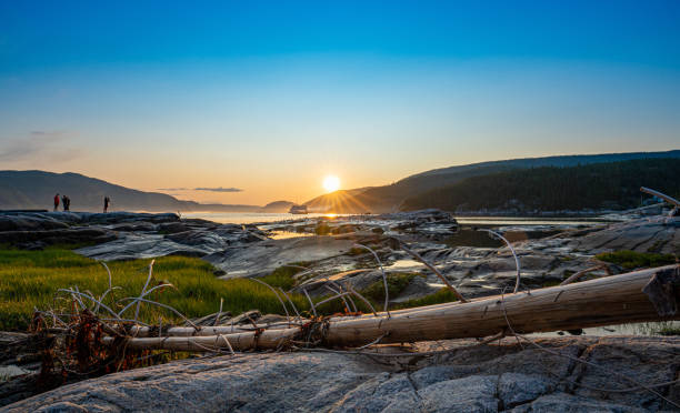 sunset over the fjords in tadoussac, quebec, canada, at low tide with rocks and old tree trunk in foreground - saguenay imagens e fotografias de stock