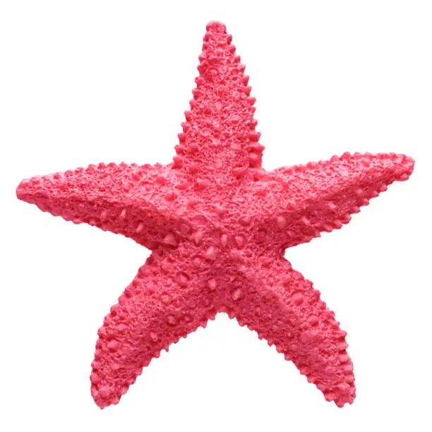 Photo of Red starfish souvenir, handmade decoration