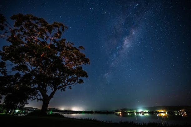 istock Gum tree, stars, and the Milky Way at the waterfront 1304070937