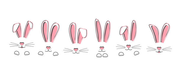 illustrations, cliparts, dessins animés et icônes de lapins vecteurs de pâques dessinés à la main, visage de lapins. oreilles mignonnes et museau avec des moustaches, pattes - oreilles de lapin