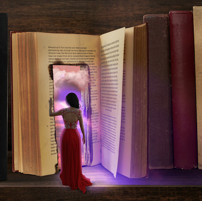 A doorway into a book on a shelf