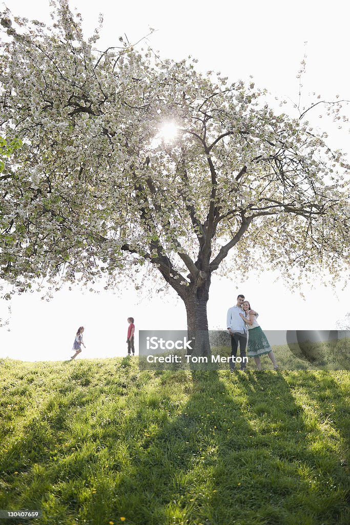 Family playing under tree outdoors  Springtime Stock Photo