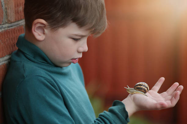 istock A child looks at a snail 1304080213