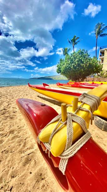 red hawaiian outriggers resting on the sand - beach maui summer usa imagens e fotografias de stock