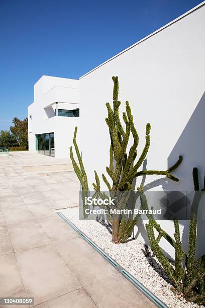 Cacti Growing Outside Modern House Stock Photo - Download Image Now - Architecture, Built Structure, Cactus