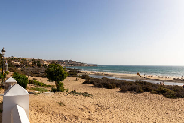 istock Ocean view on Costa Calma beach. 1304081720