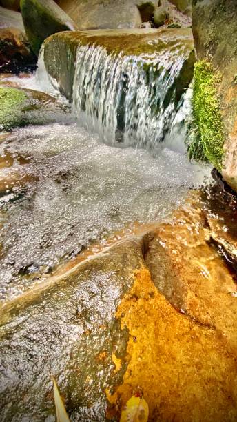 istock rushing stream waters in the rainforest 1304082325