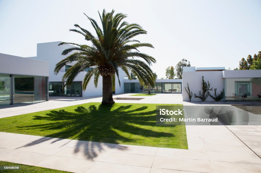 Palm tree à l'hôtel courtyard de maison moderne - Photo de Espagne libre de droits