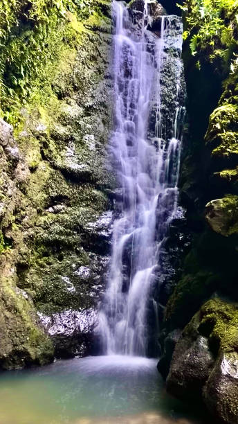 istock flowing waterfall in the rainforest of maui - long exposure technique 1304083569