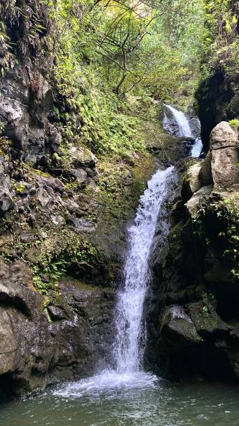 istock one majestic triple waterfall in the rainforest 1304083620