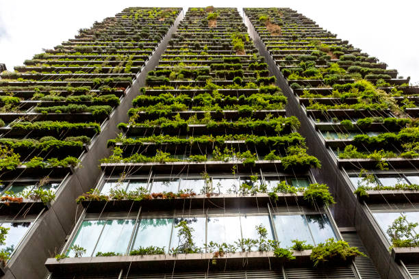 istock Low angle view of appartment building with vertical garden, background with copy space 1304091506
