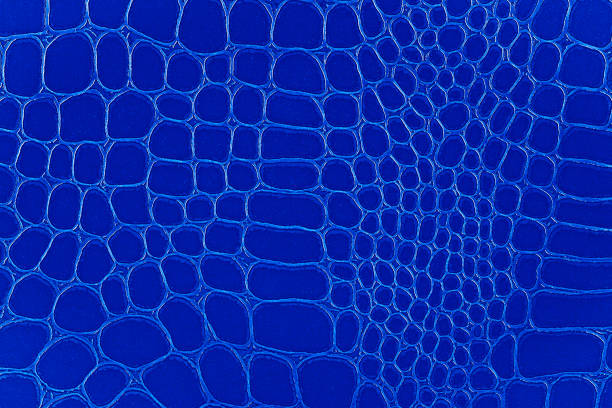 istock Blue crocodile skin, natural texture. Leather pattern. Predator animal skin print. Texture of genuine leather. 1304092527