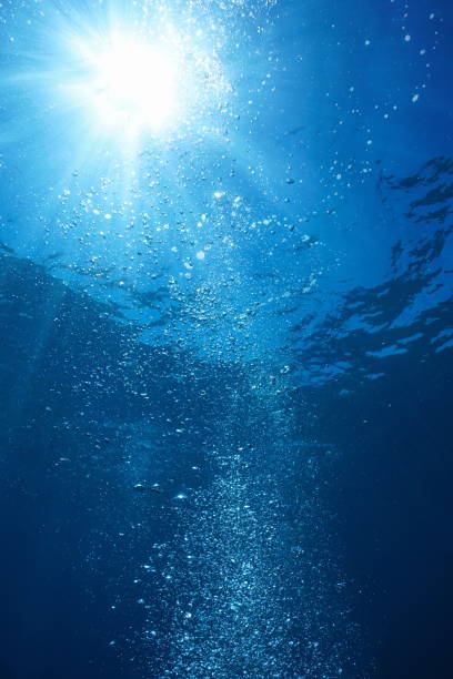 istock Air bubbles with sunshine underwater in the ocean 1304092618