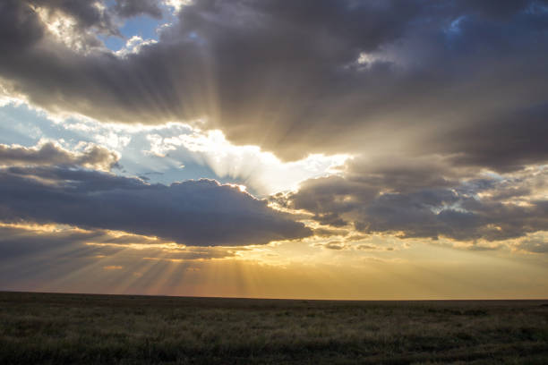 istock Cloudy sky over the Serengeti 1304092737