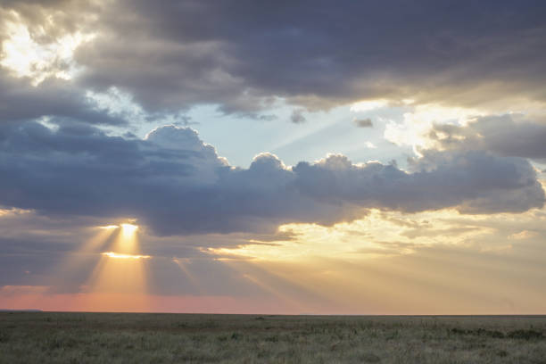 istock Cloudy sky over the Serengeti 1304092797