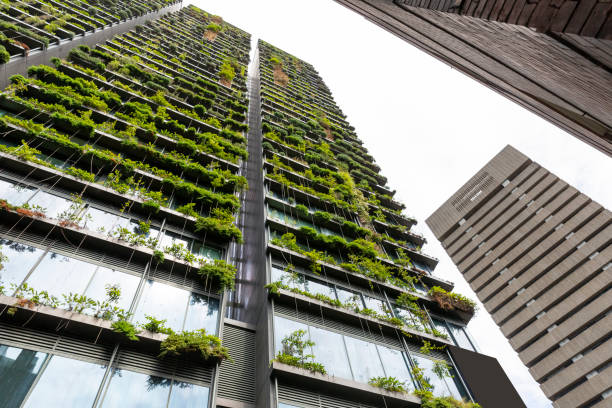 istock Low angle view of appartment building with vertical garden, background with copy space 1304093233