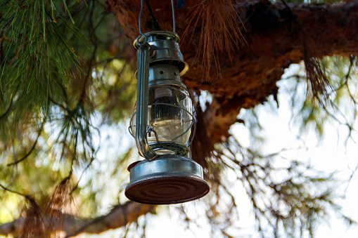 Old gas lamp hanging on a tree branch