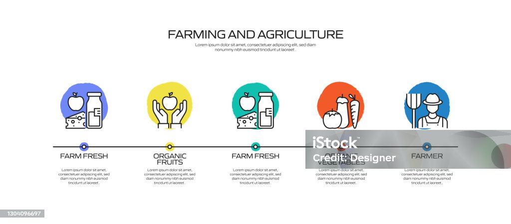 Farming And Agriculture Related Process Infographic Template Process ...