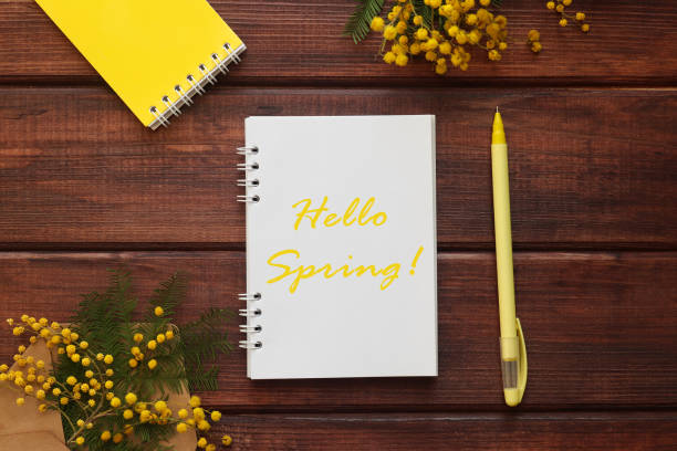 istock Springtime concept. Notepad with the inscription Hello Spring on a wooden background and yellow mimosa flowers decor. Top view, flat lay 1304100787