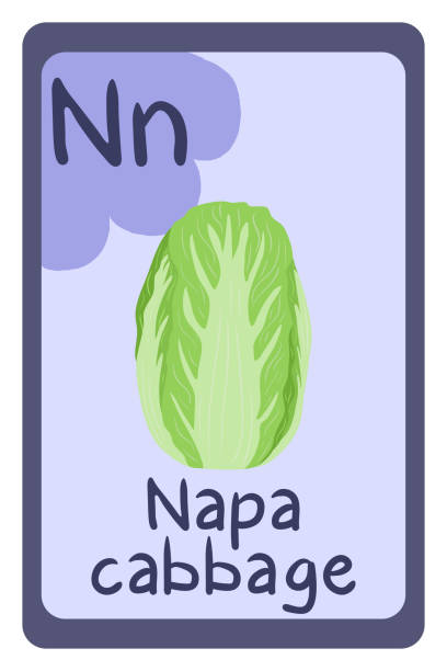Cabbage Letters 360+ Cabbage Types Stock Illustrations, Royalty-Free Vector Graphics ...