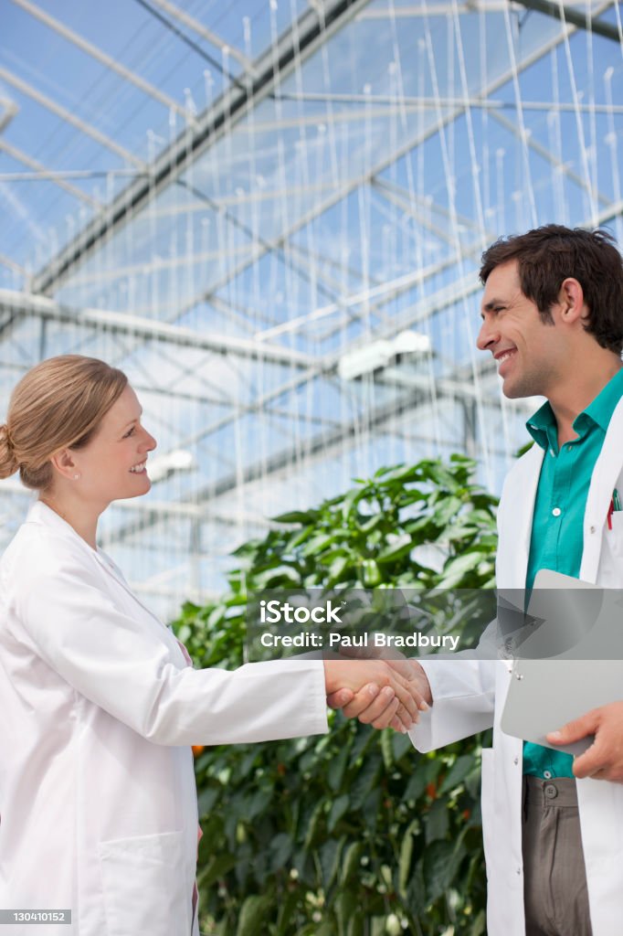 Wissenschaftler beim Händeschütteln im Gewächshaus - Lizenzfrei Forschung Stock-Foto