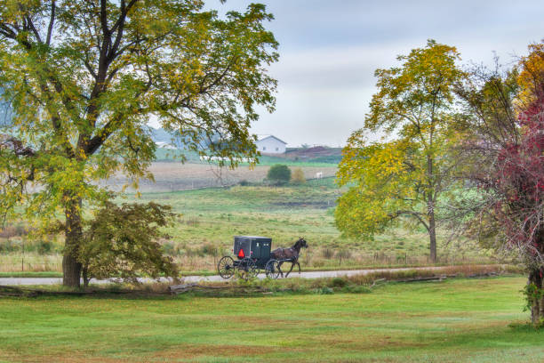 istock Amish Buggy on rural Indiana road 1304102649