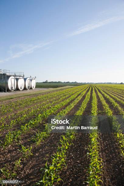 Foto de Tanques De Campo Sob O Céu Azul e mais fotos de stock de Agricultura - Agricultura, Alimento Transgênico, Azul