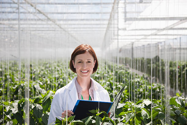 scienziato esaminando le piante in serra - research smiling scientist women foto e immagini stock