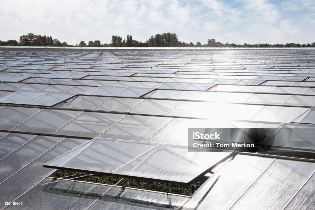 Gewächshaus Glas Dächer - Lizenzfrei Blendenfleck Stock-Foto