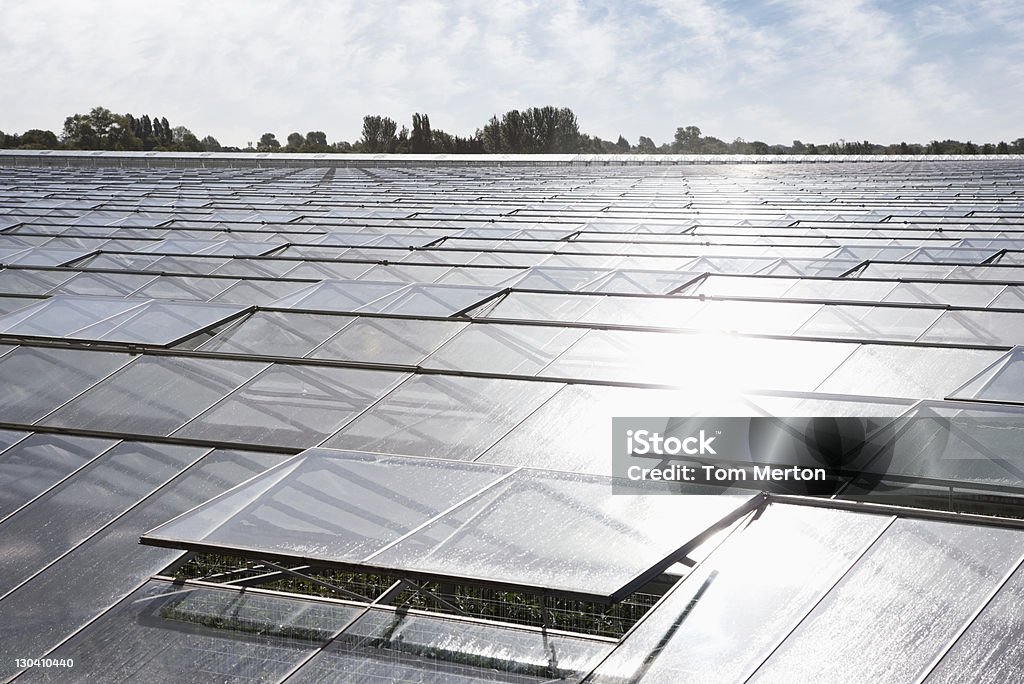 Serra tetti in vetro - Foto stock royalty-free di Agricoltura