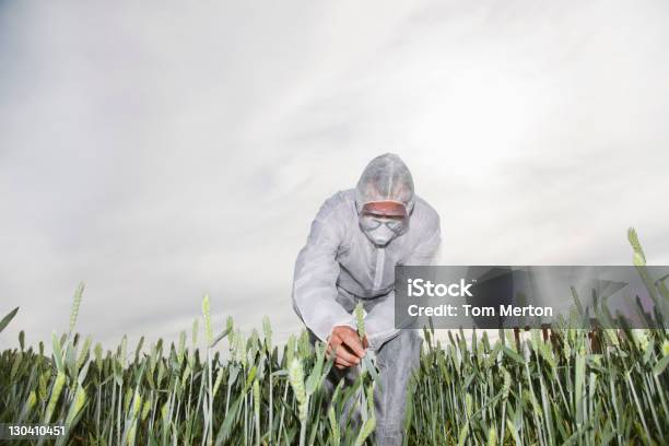 Scientist In Protective Engranaje De Examinar Las Plantas Foto de stock y más banco de imágenes de 50-54 años