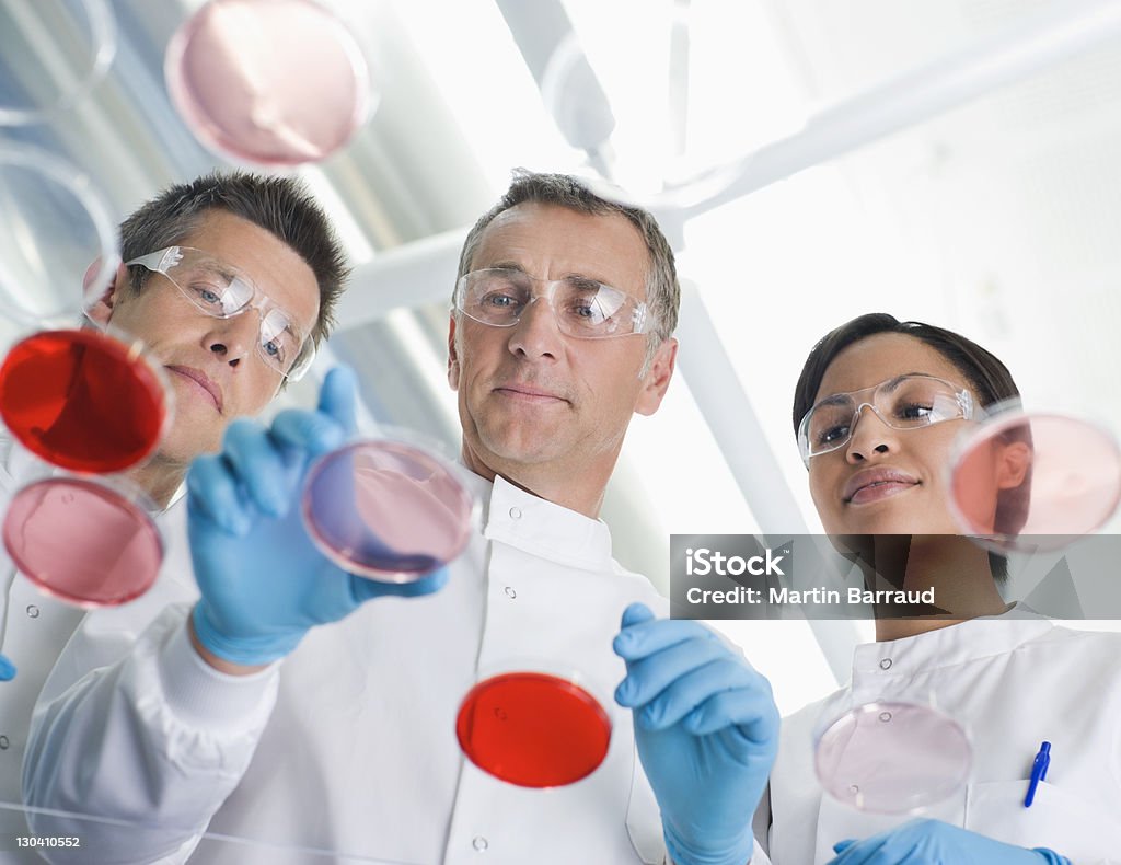Wissenschaftler untersuchen petri Gerichte im lab - Lizenzfrei Labor Stock-Foto