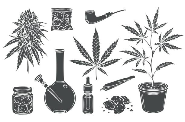 Marijuana glyph isolated icon set Marijuana monochrome glyph isolated vector icon set, hemp leaves and seeds, cannabis bud. Smoking cannabis pipe, cigarette, buds indica marijuana, joint, glass jar, tobacco and plastic bag. weed stamp stock illustrations