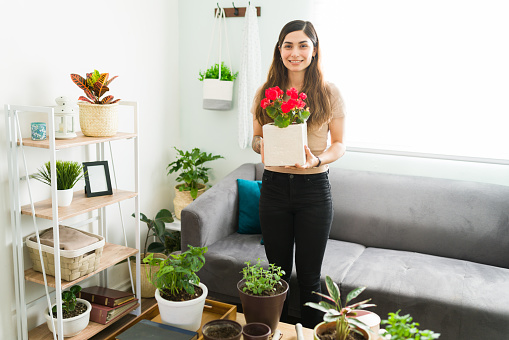 Portrait of a latin young woman simling while holding pink flower in a pot. Attractive woman enjoying a relaxing day at home and doing gardening