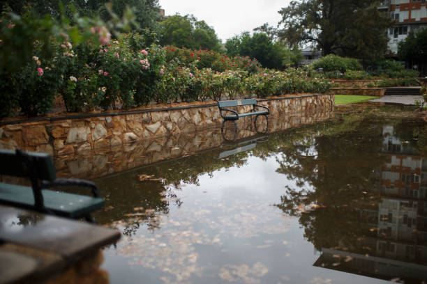 istock Adelaide Veale Gardens, rain flood 1304113958