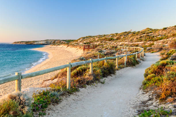 gnarabup beach - prevelly - margaret river - fotografias e filmes do acervo