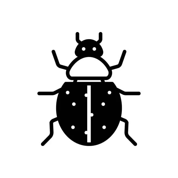 Vector illustration of Ladybug bettle