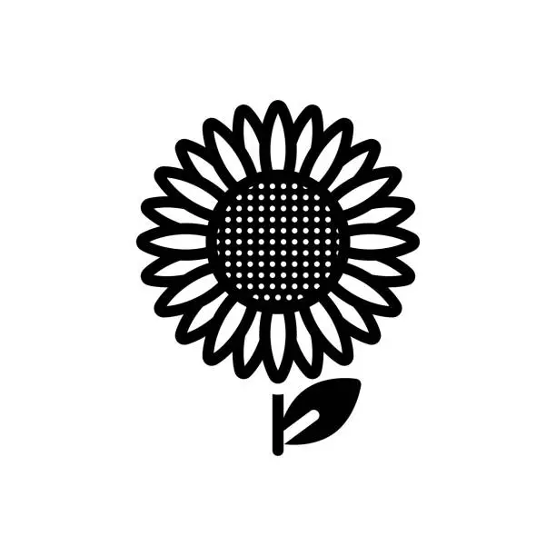 Vector illustration of Sunflower sunflower